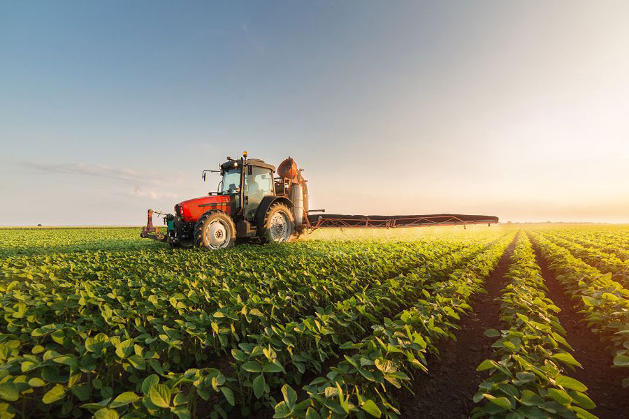 Eco Combi ile Bitkilerinizde Maksimum Verim ve Sağlıklı Büyüme