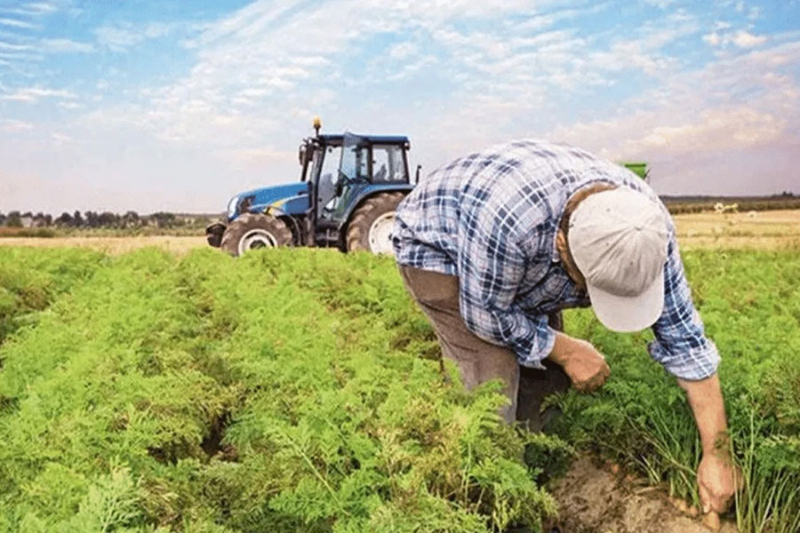 Ekiz Tohumculuk ile Verim ve Kalitede Fark Yaratın