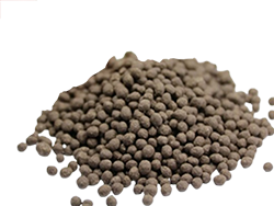 Bitki Besin Maddeleri