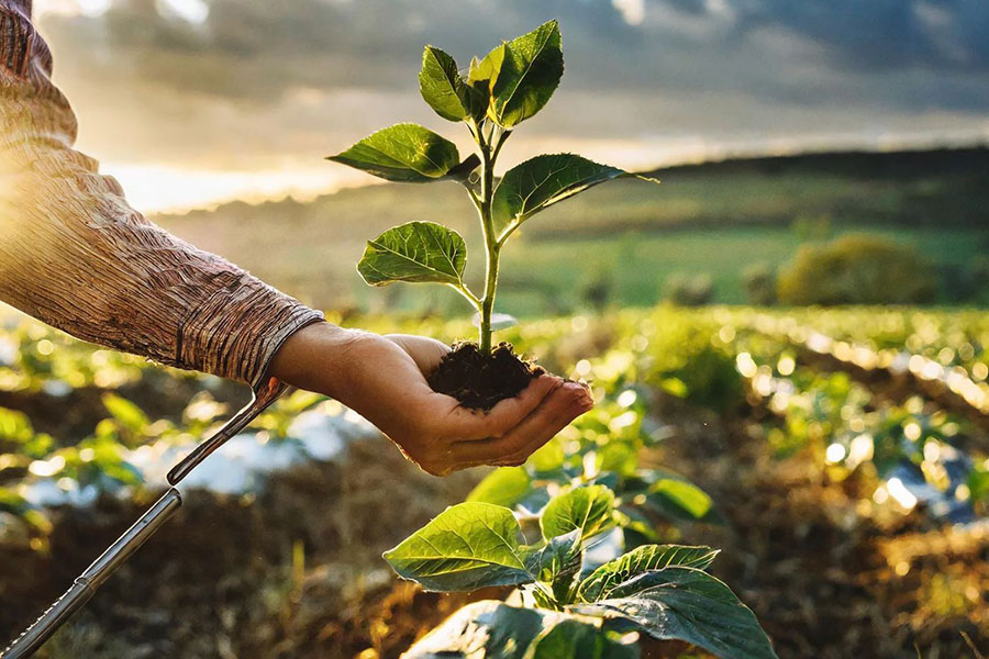 Sürdürülebilir ve Çevre Dostu Üretim Anlayışı